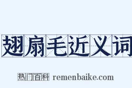 翅扇毛近义词是什么意思的图片